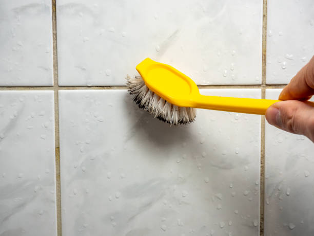Best Professional Mold Removal  in Pulaski, VA