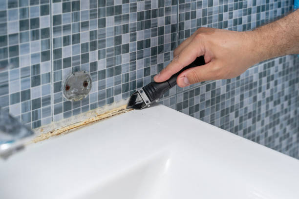 Best Toxic Mold Removal  in Pulaski, VA