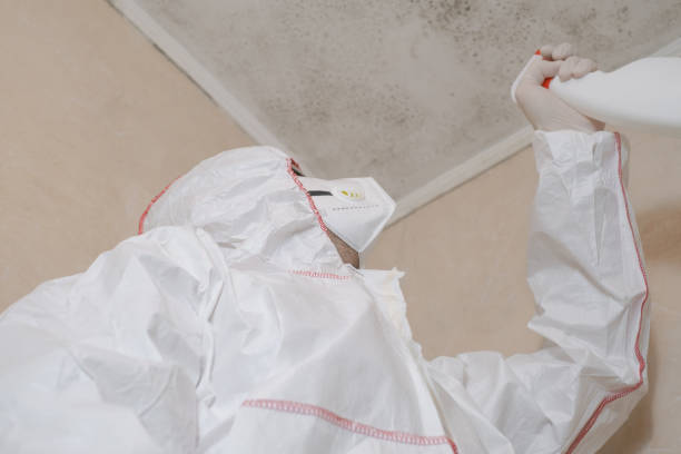 Best Emergency Mold Removal  in Pulaski, VA