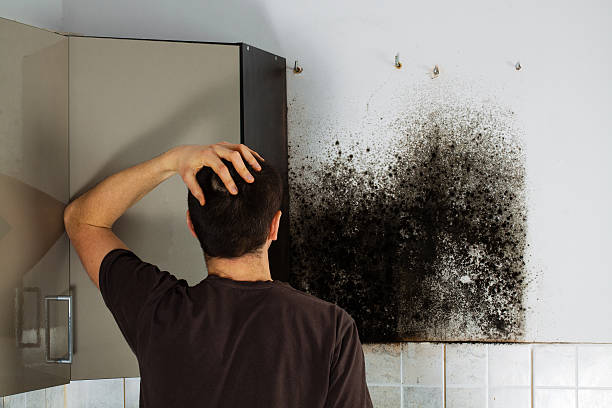 Crawl Space Mold Removal in Pulaski, VA